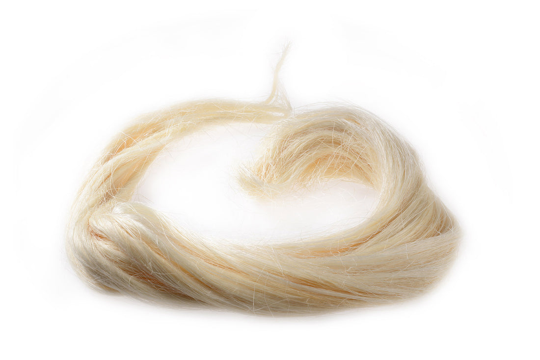 Sisal : Tout savoir sur cette célèbre matière | Soubacq