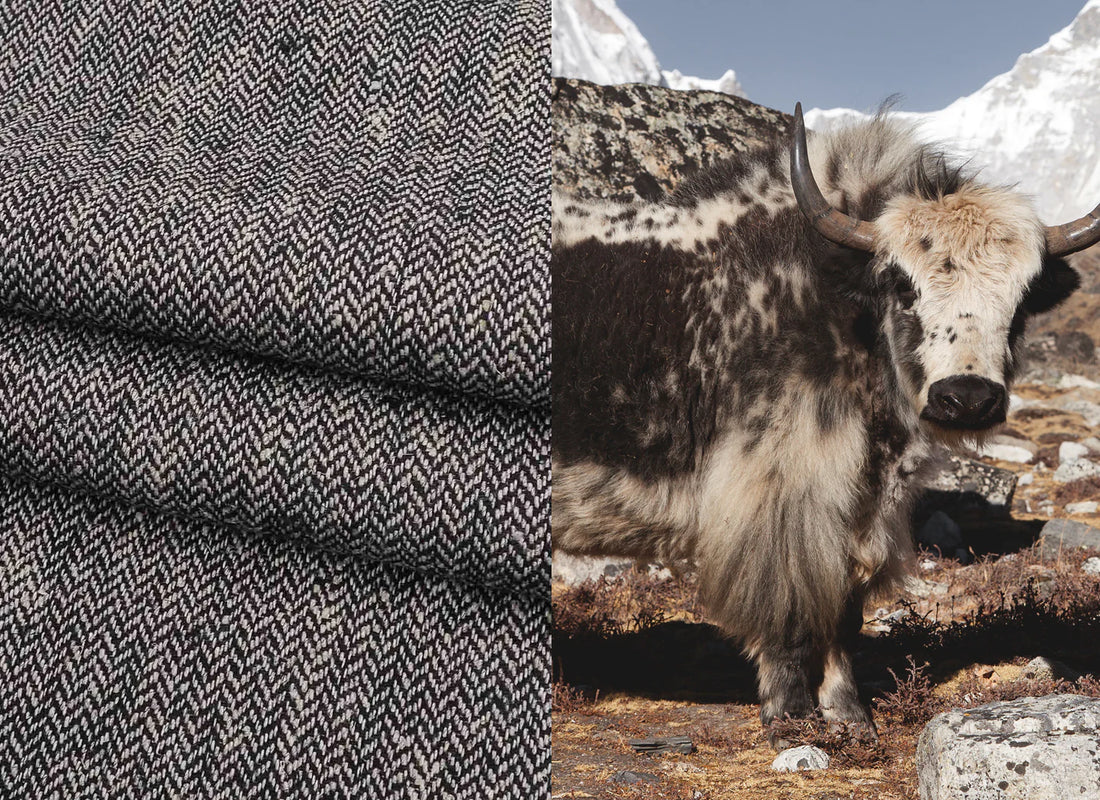 Yak : Tout savoir sur cette célèbre matière | Soubacq